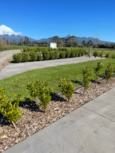 Load image into Gallery viewer, Motorhome Booking