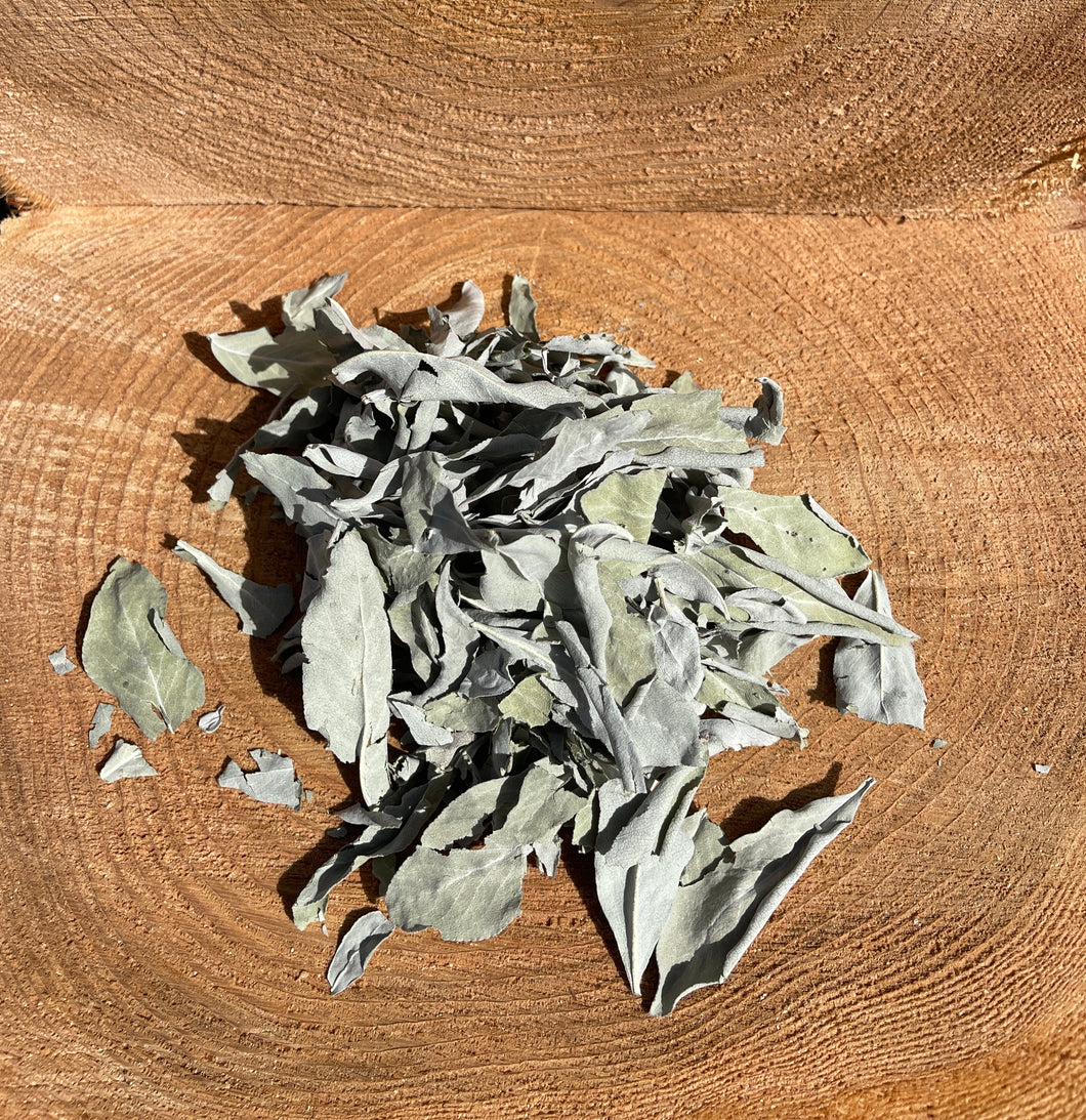 Dried White Sage Leaf