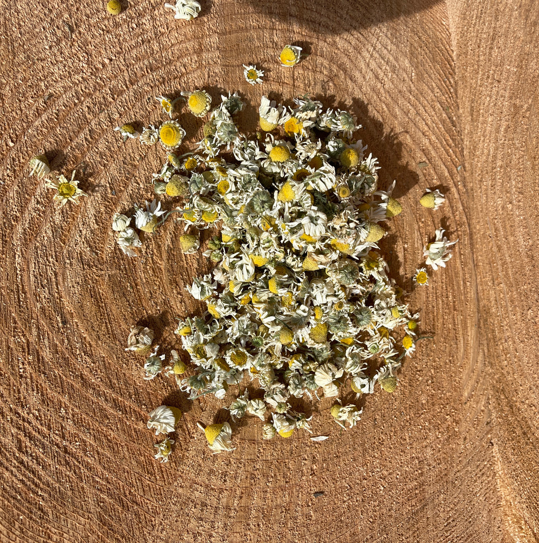 Dried Chamomile Flowers