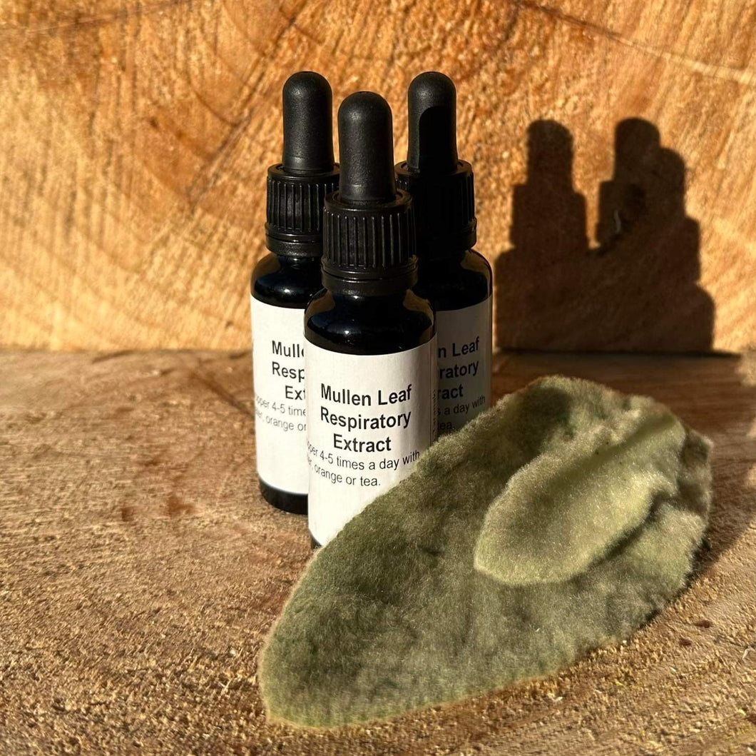 Mullein Respiratory Extract 30mls North Egmont Retreat Mullein Respiratory Extract 30mls North Egmont Retreat